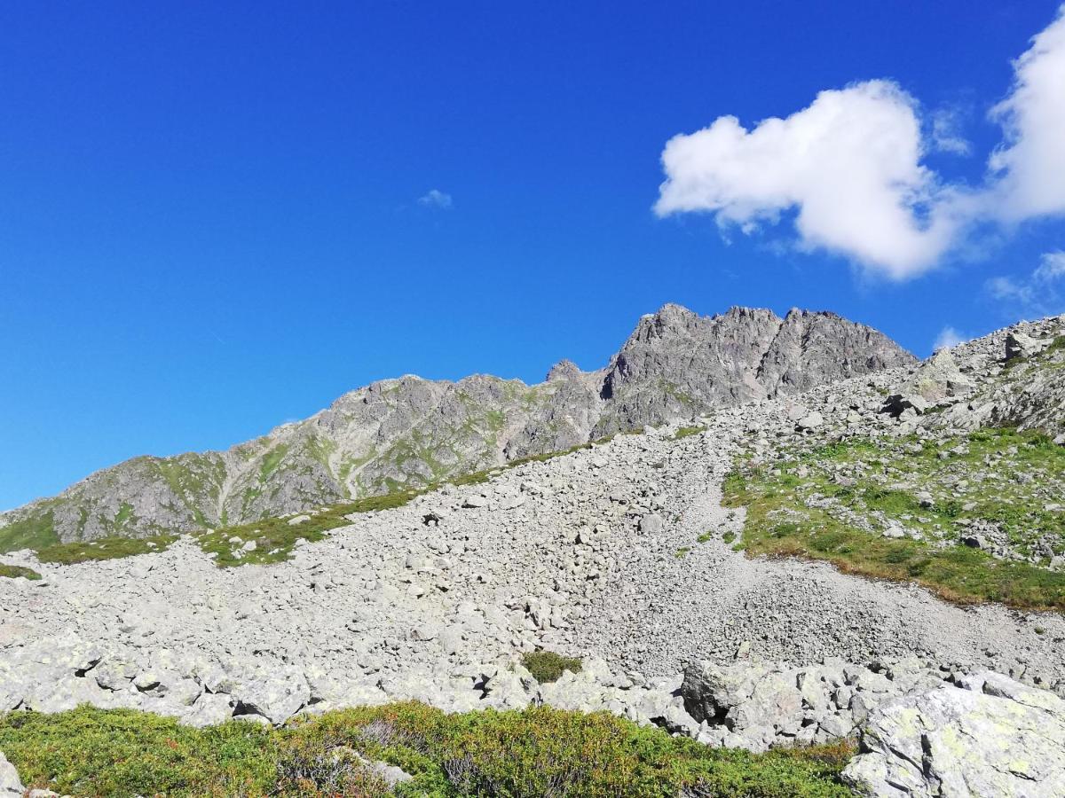 Chambres Et Tables D'Hotes Le Choton A Nono - Col Du Joly Beaufortain โอตลุซ ภายนอก รูปภาพ