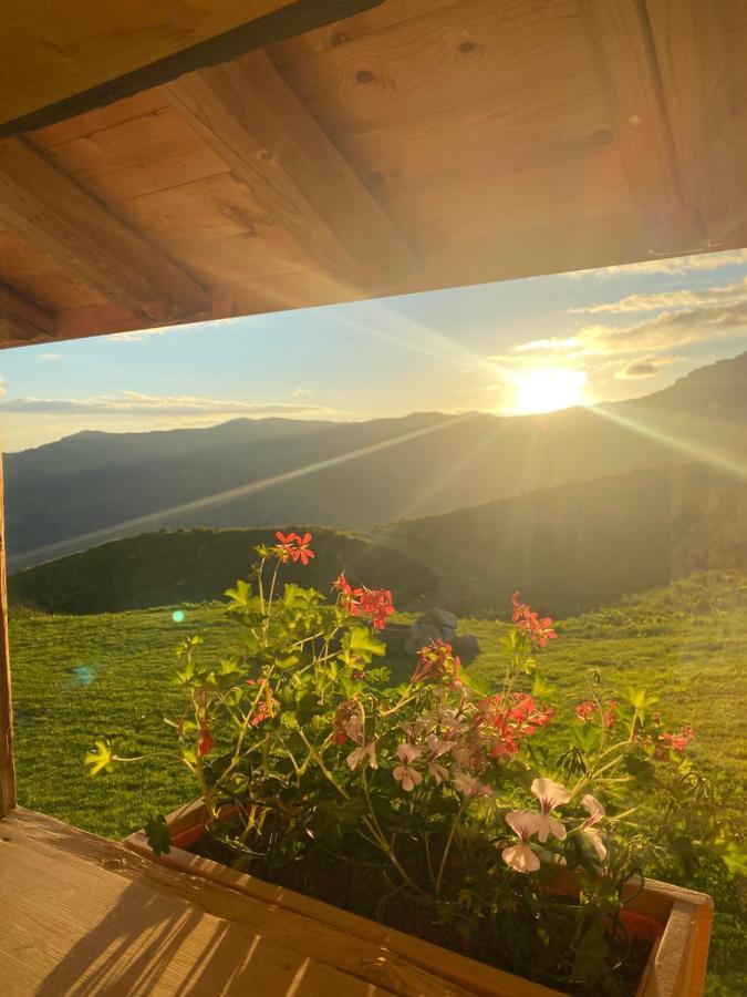 Chambres Et Tables D'Hotes Le Choton A Nono - Col Du Joly Beaufortain โอตลุซ ภายนอก รูปภาพ